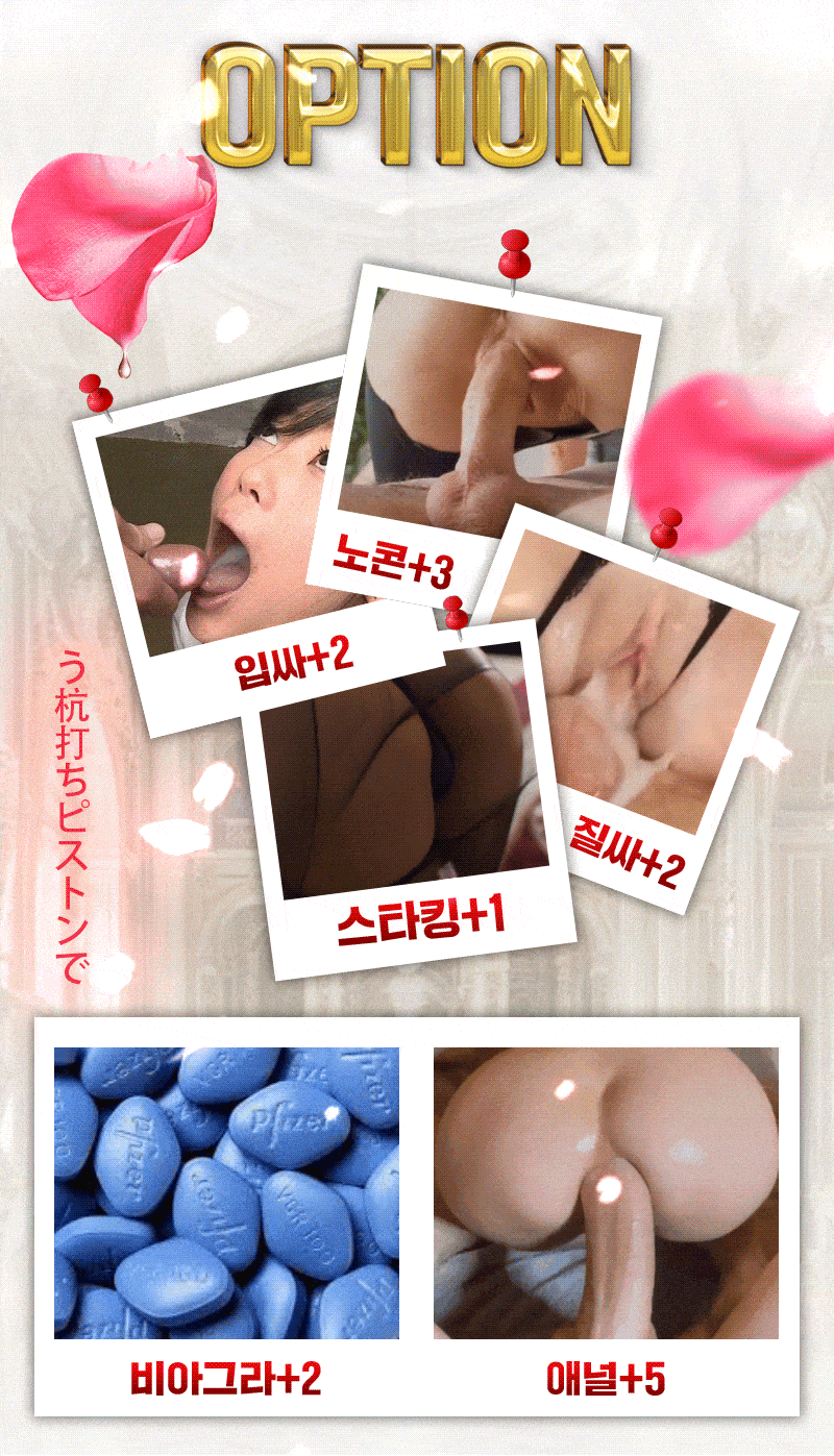 옵션 이미지